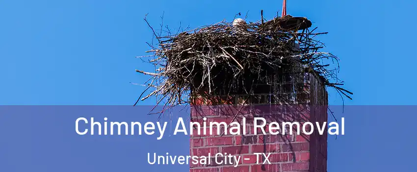  Chimney Animal Removal Universal City - TX
