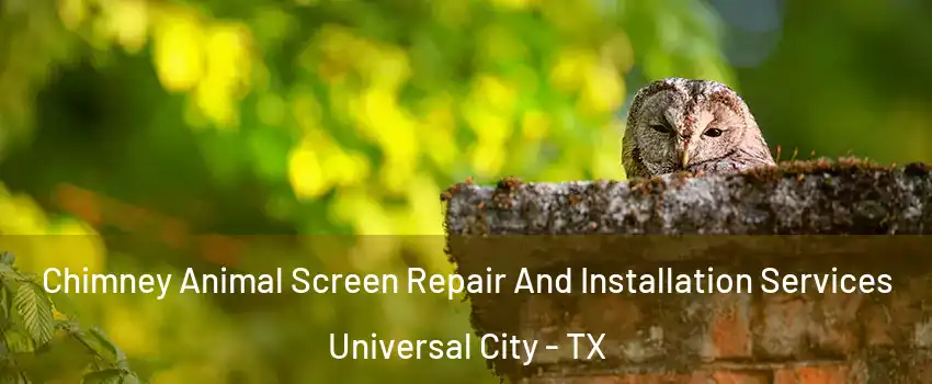  Chimney Animal Screen Repair And Installation Services Universal City - TX